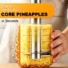 Pineapple Corer and Slicer Stainless Steel Pineapple Cutter and Corer